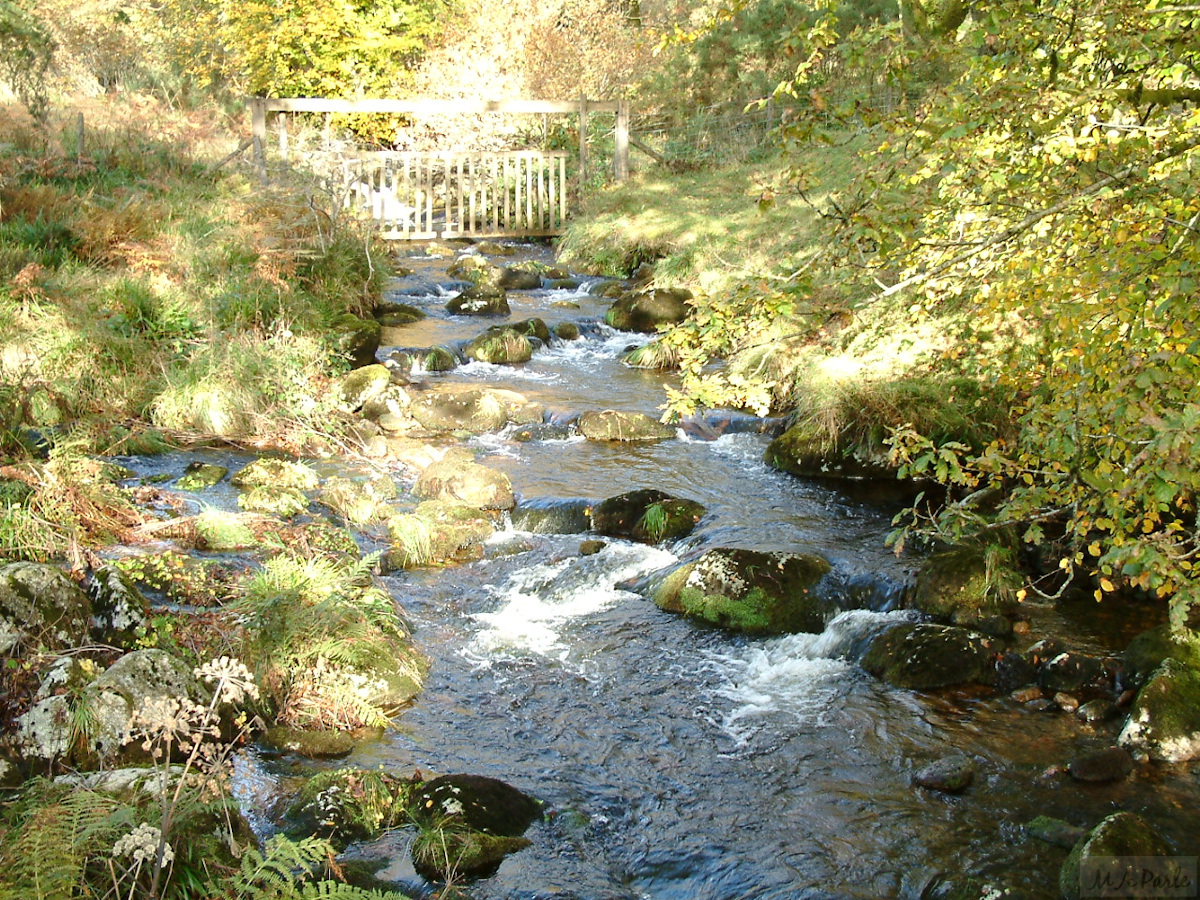 River Meavy at Norsworthy Bridge