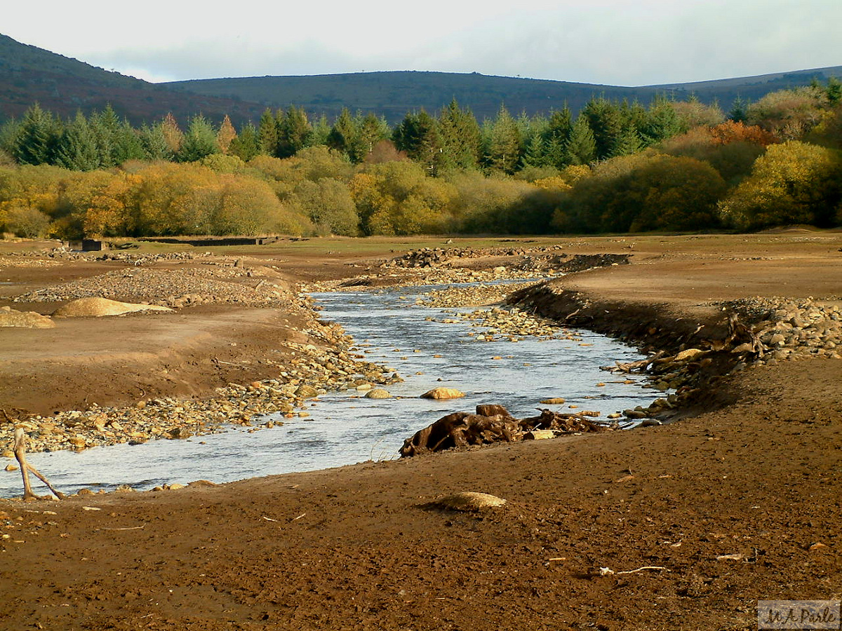 The River Meavy, flowing through exposed gravel beds