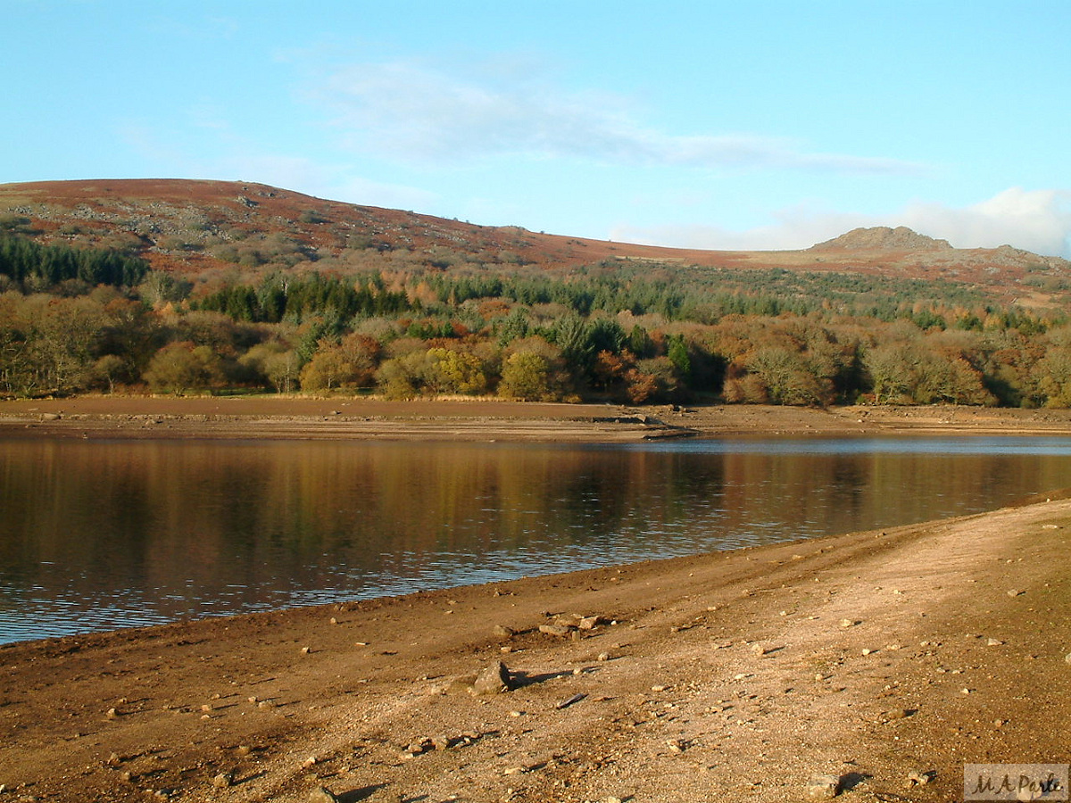 ‘Burrator Beach’ near Beechcroft Plantation, looking across the reservoir to Lower Lowery and Peek Hill