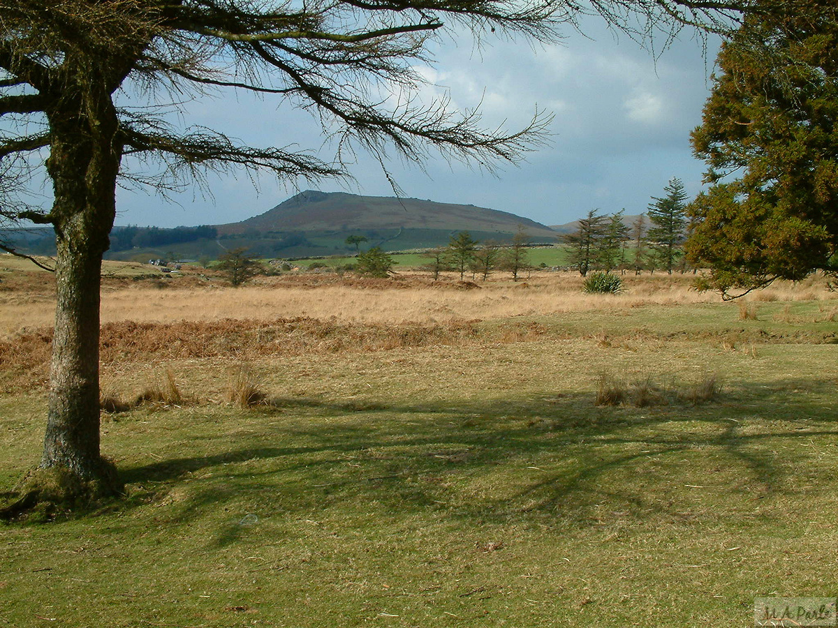 A view of Sheeps Tor, looking from east of Gutter Mire