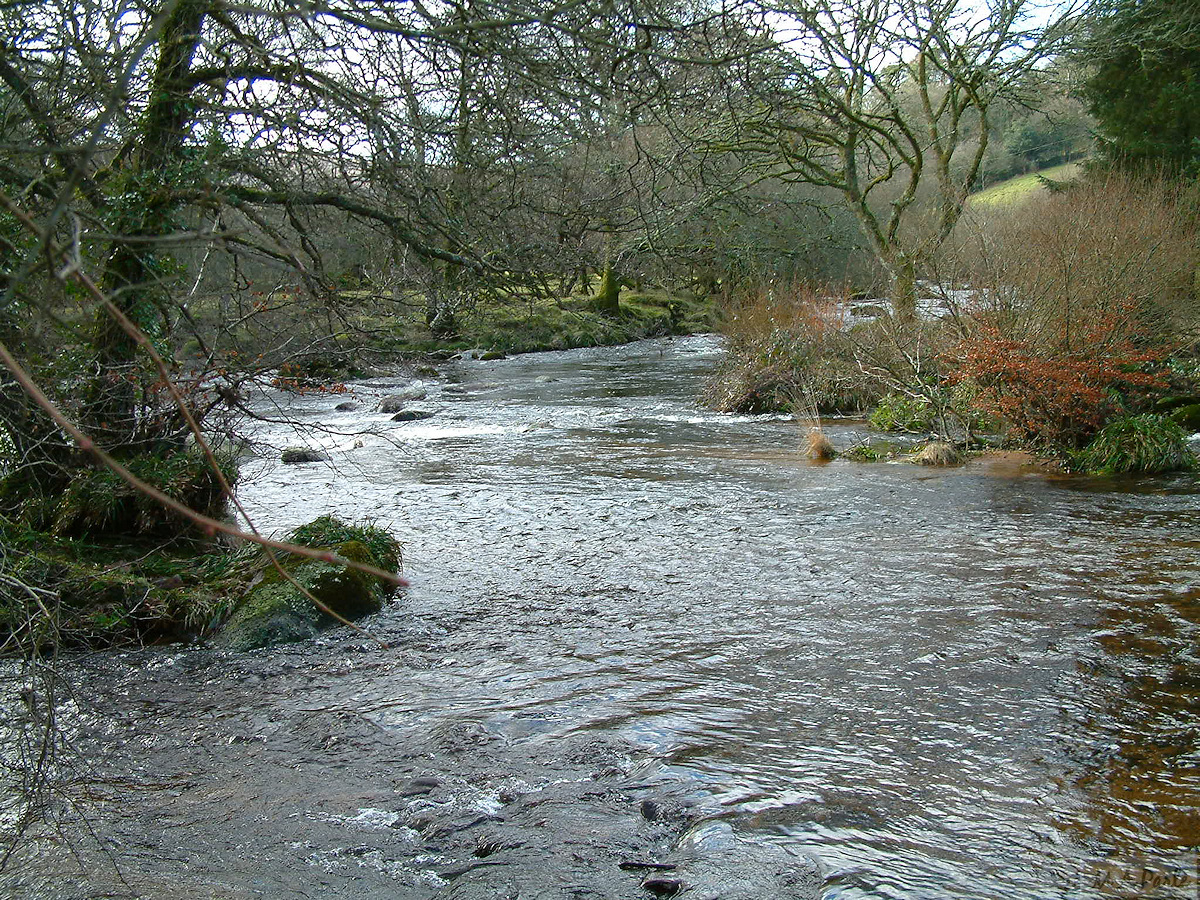 West Dart River meets East Dart River at Dartmeet