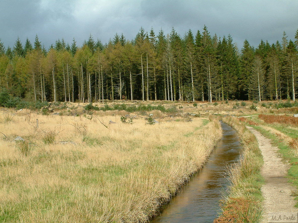 Devonport Leat at Stanlake Plantation