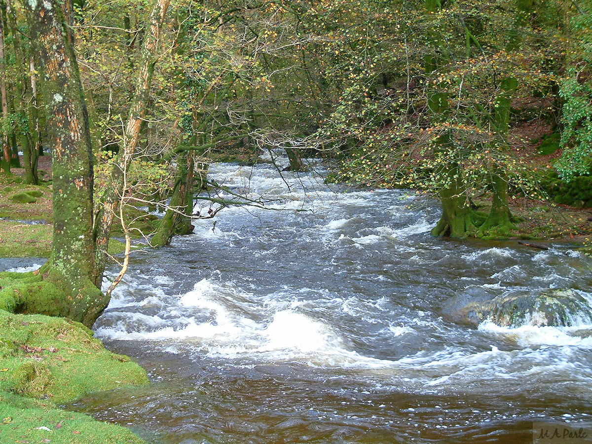 River Meavy