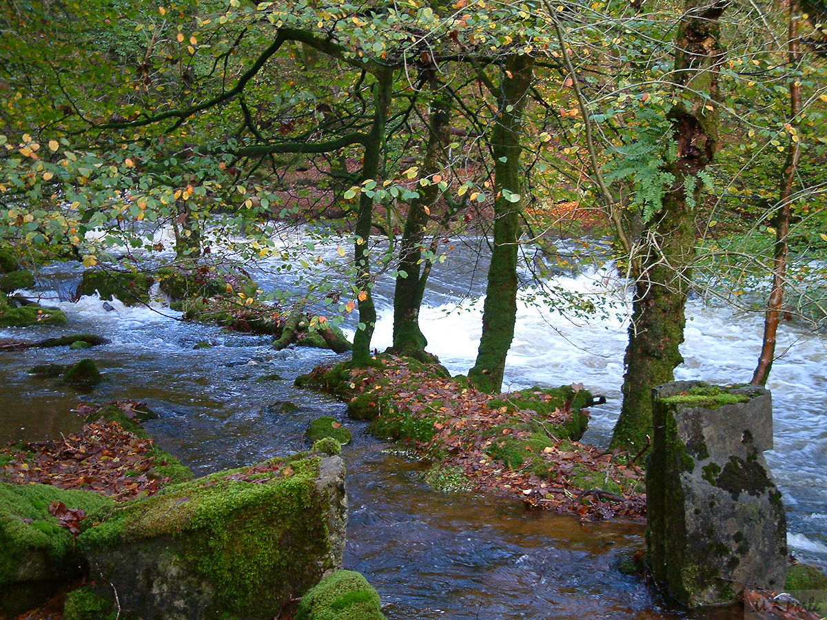 Mill Leat weir