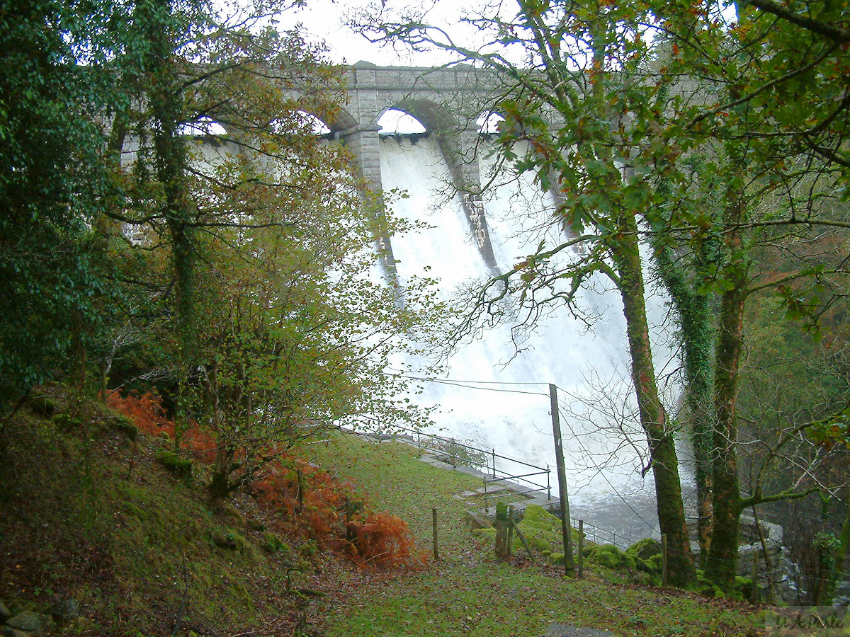 Burrator Dam