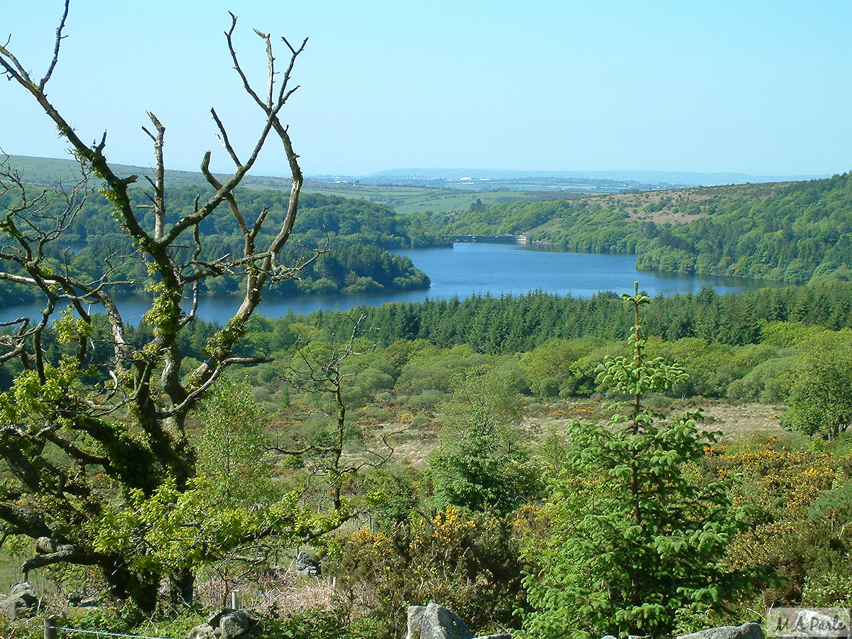 Burrator Reservoir from below Leather Tor