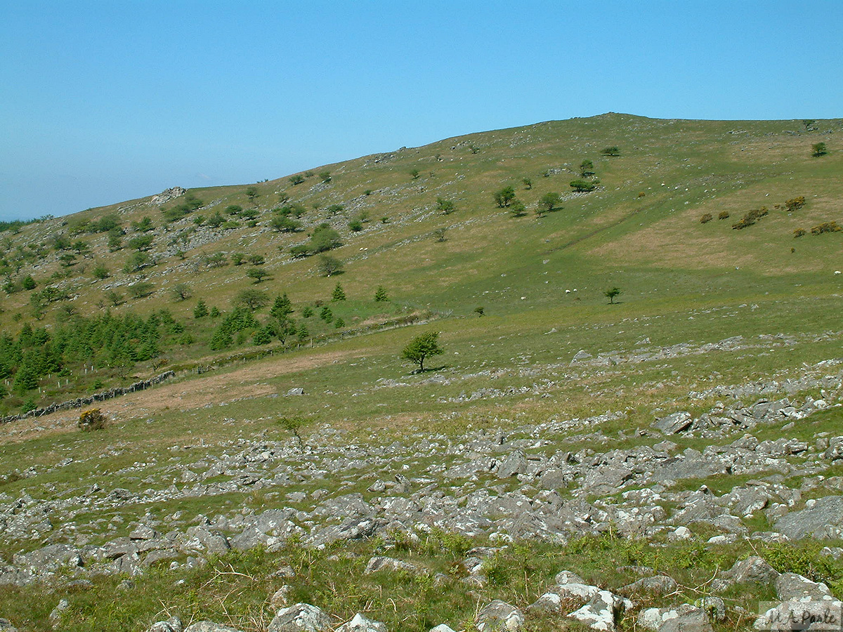 The south facing slope of Peek Hill