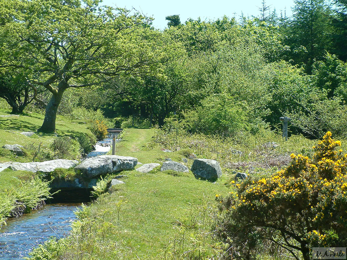 Devonport Leat at Cross Gate