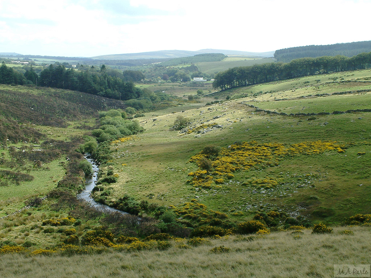 East Dart River, looking south to Postbridge