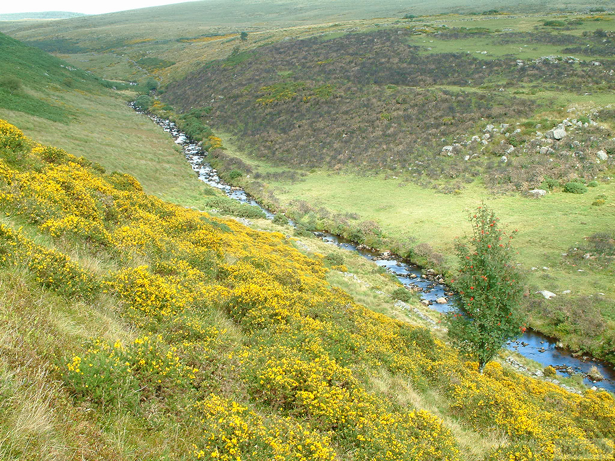 East Dart valley