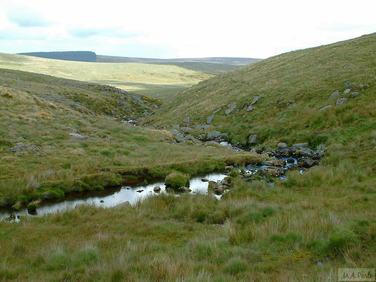 High up in the East Dart valley