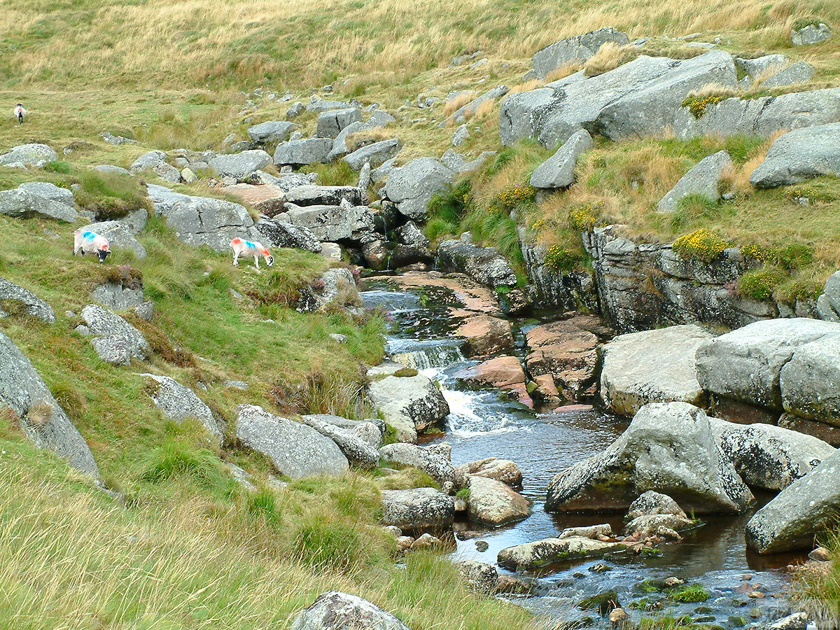 East Dart River