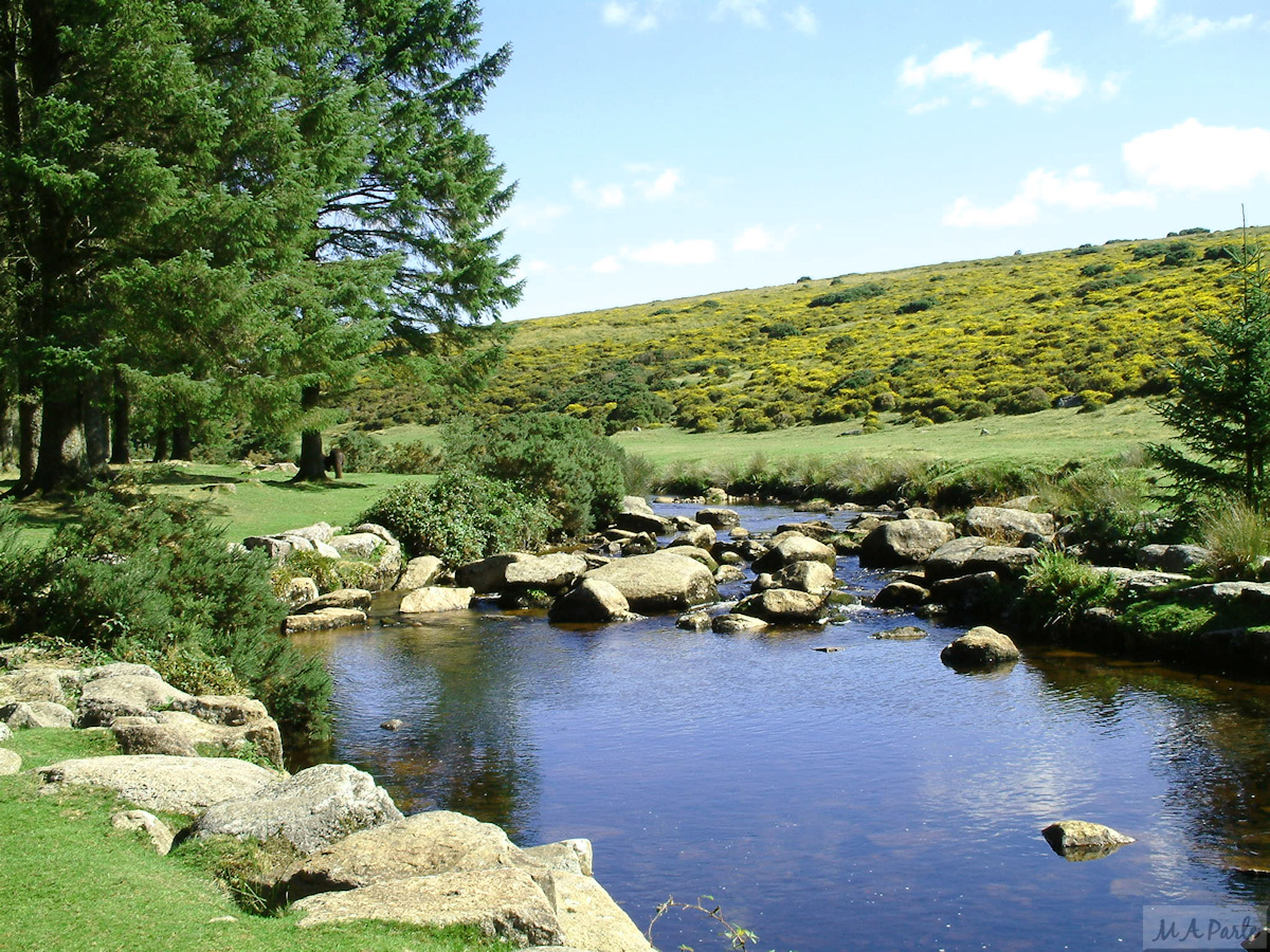 East Dart River near Bellever Bridge