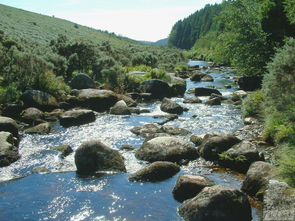 East Dart River looking downstream