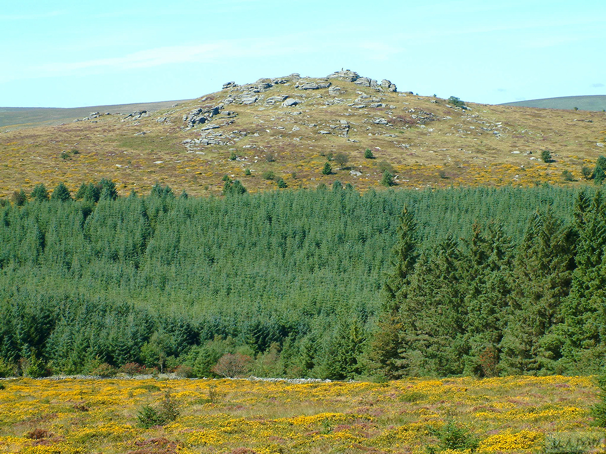 Bellever Tor from Laughter Tor