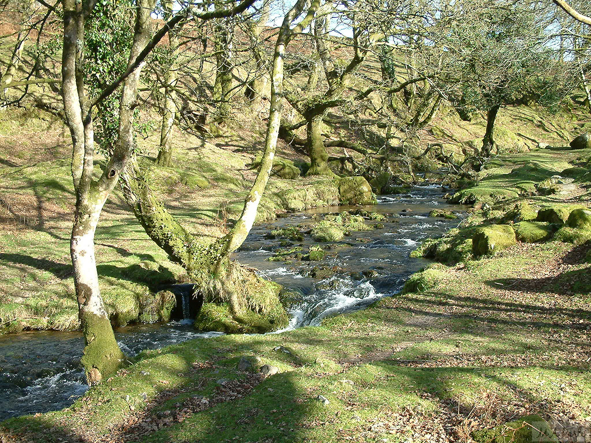 Newleycombe Lake a short way above Norsworthy Bridge