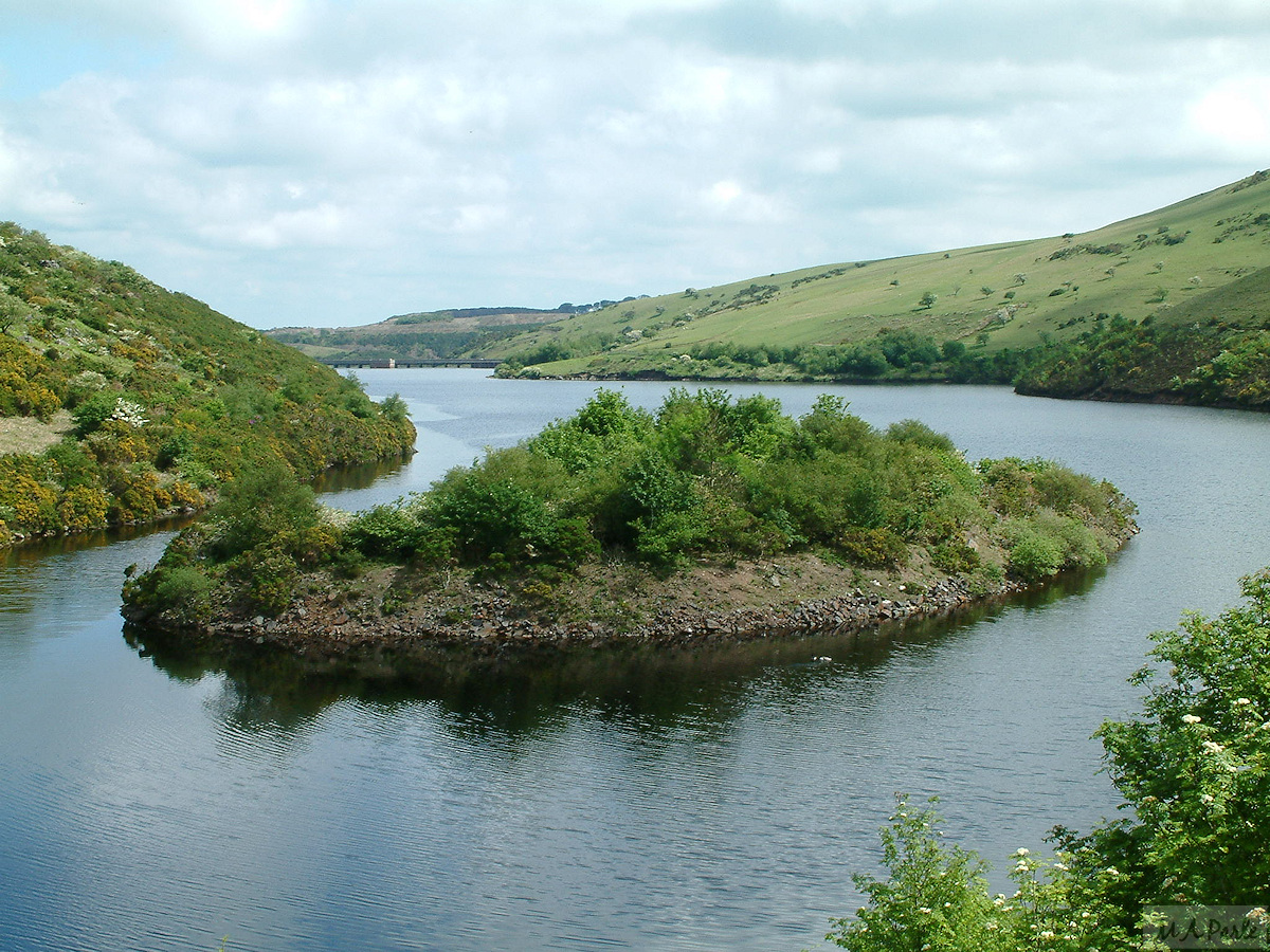 Island in Meldon Reservoir