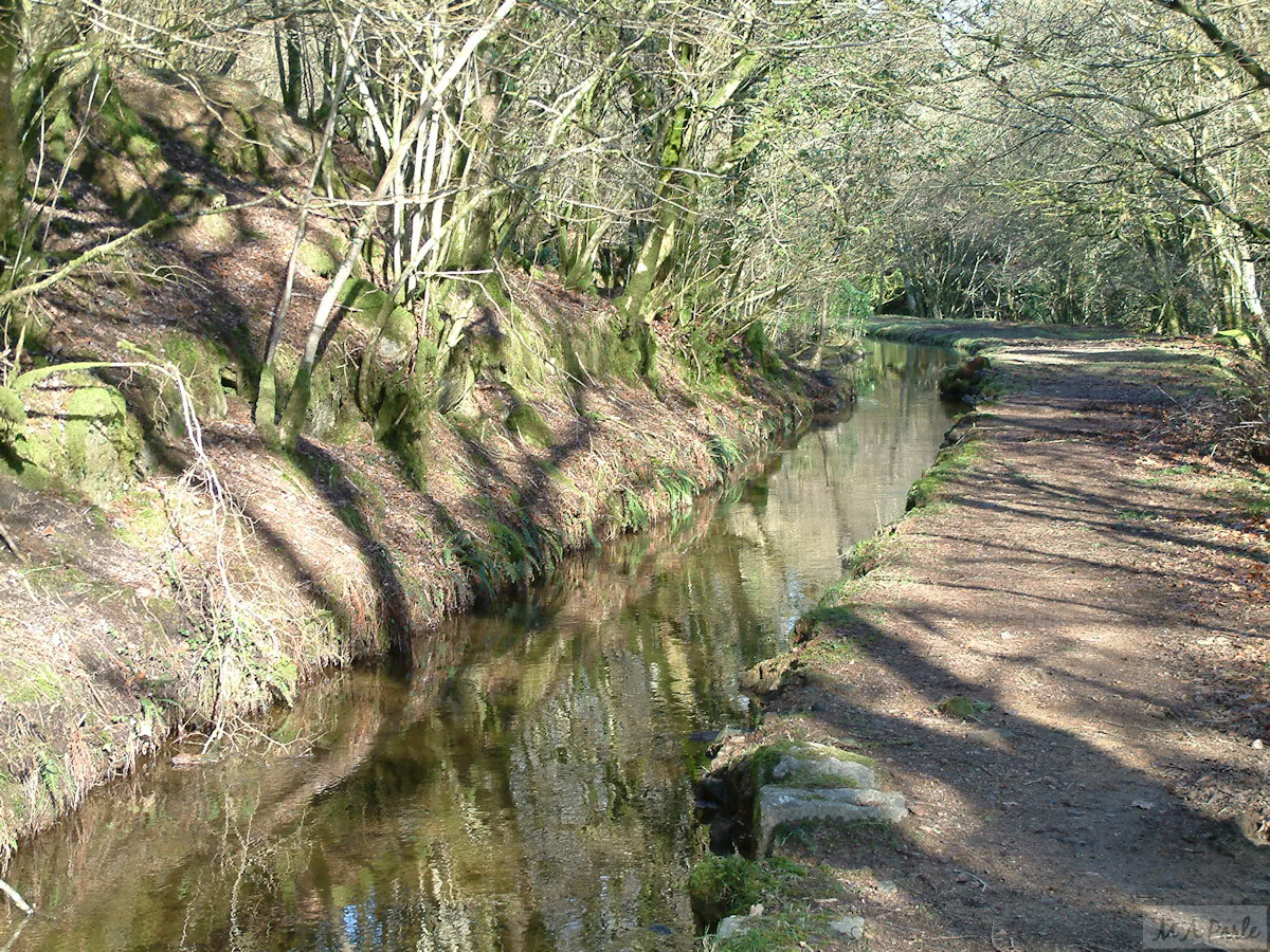 Devonport Leat