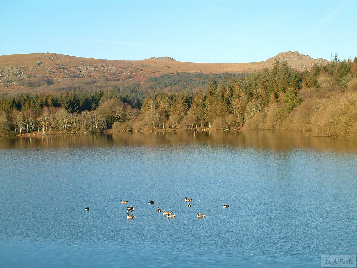 Looking north across Burrator Reservoir from Sheepstor Dam