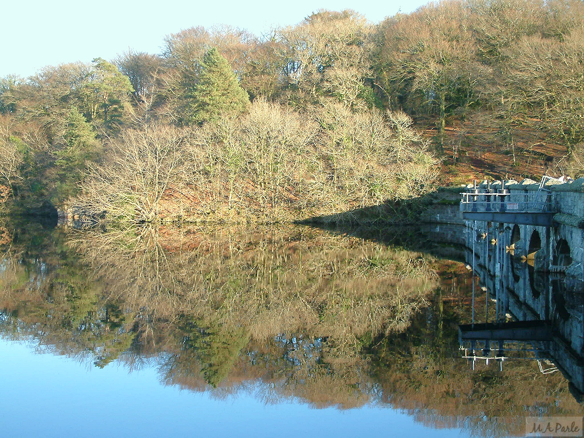 Burrator Dam