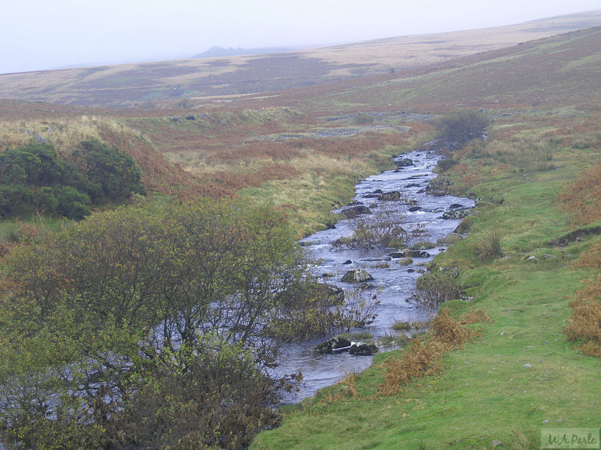 The River Plym as it flows down between Legis Tor and Trowlesworthy Warren