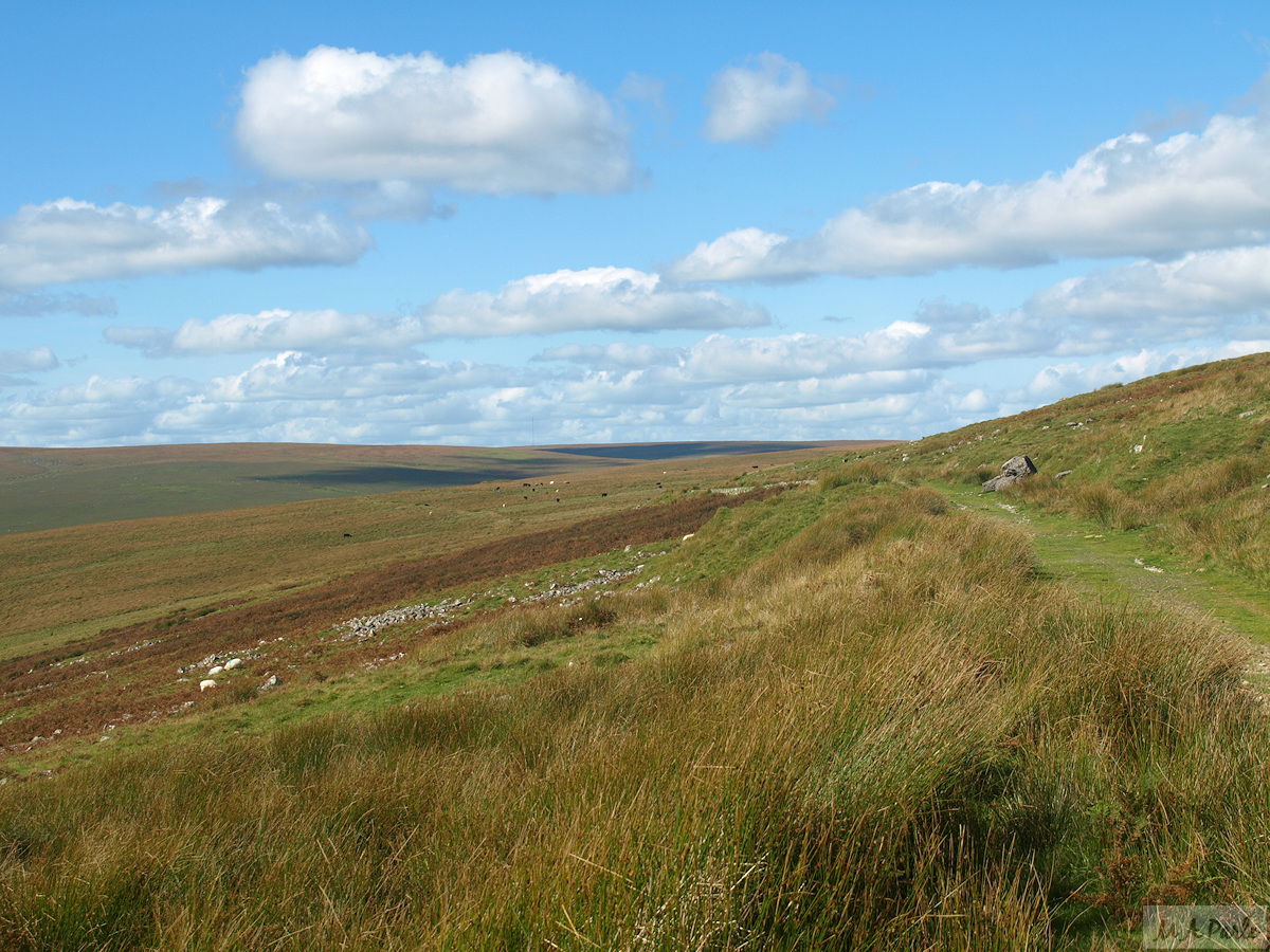 Redlake Tramway looking north