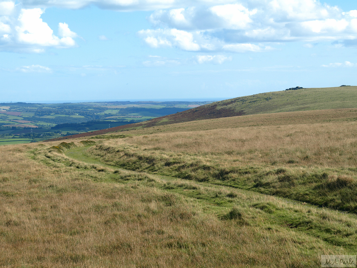 Redlake Tramway looking south