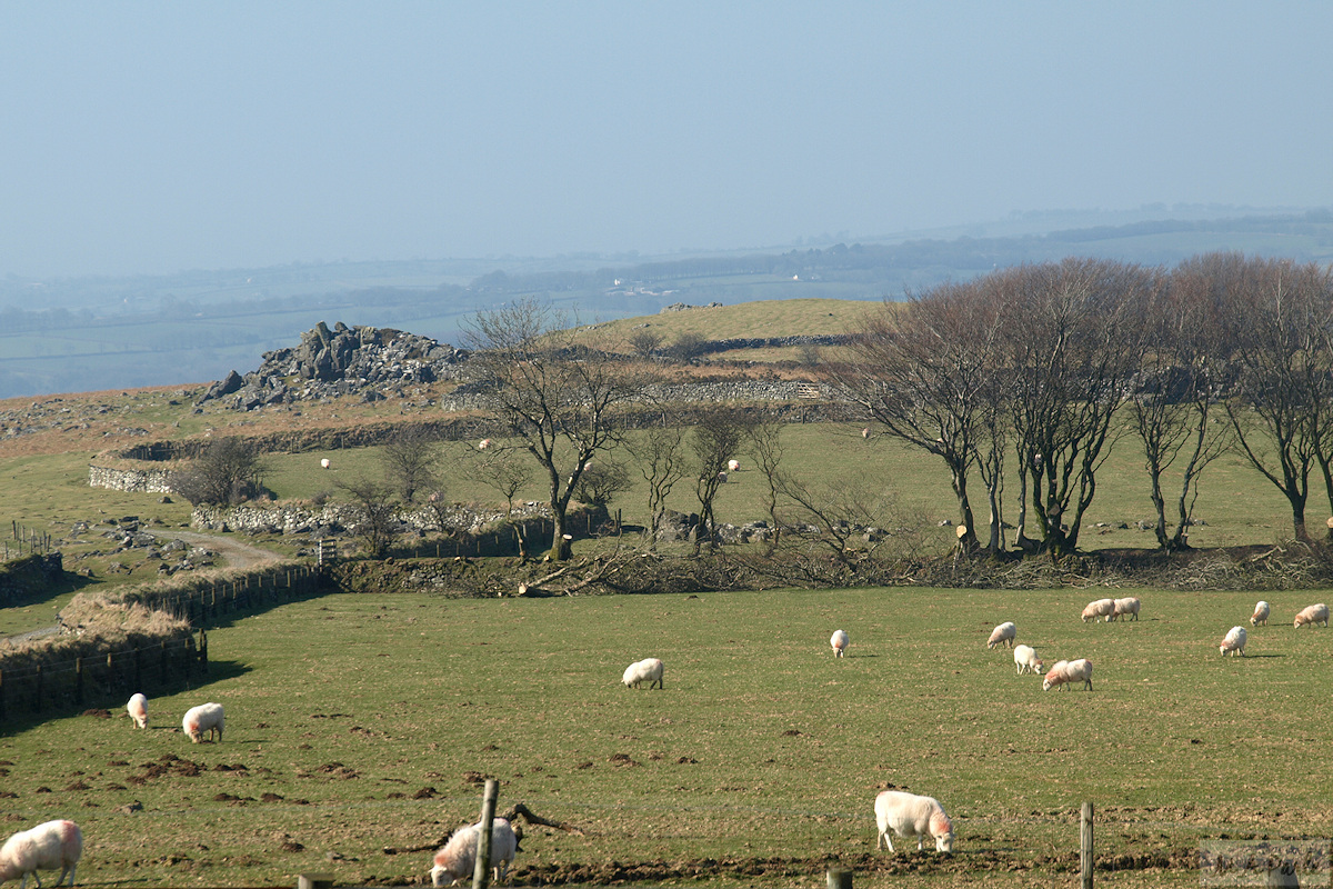 East of Boulters Tor