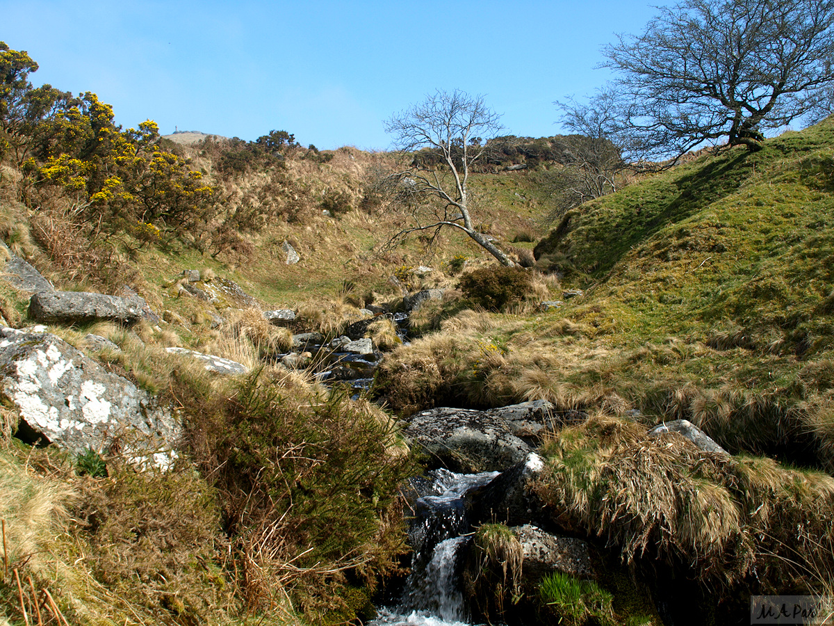 On the way up Doetor Brook