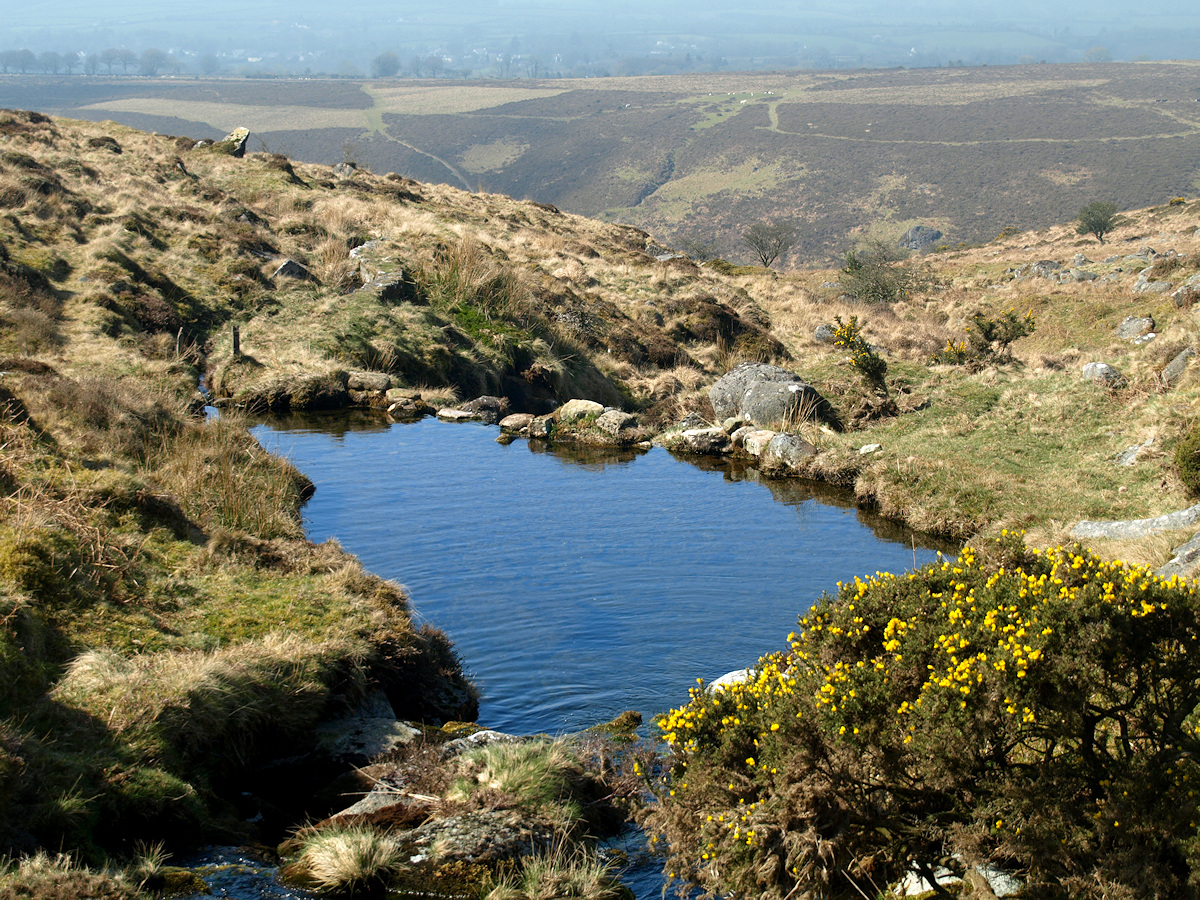 A pool on Doetor Brook