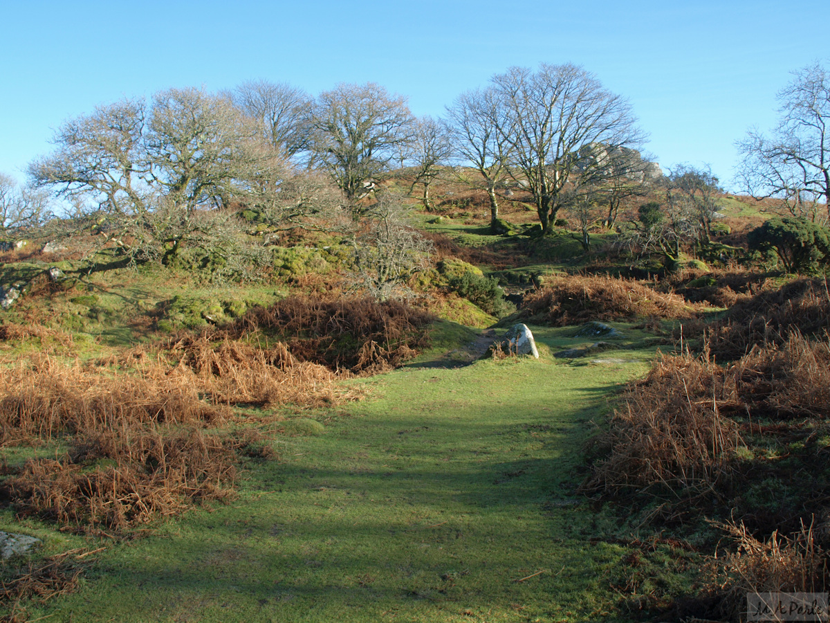 The path on the way up Down Tor