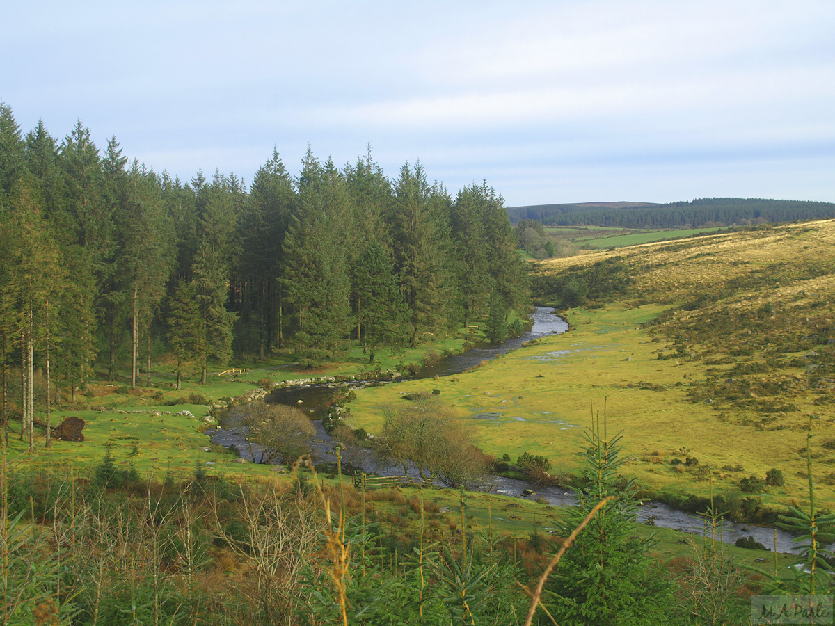 The East Dart River near Bellever