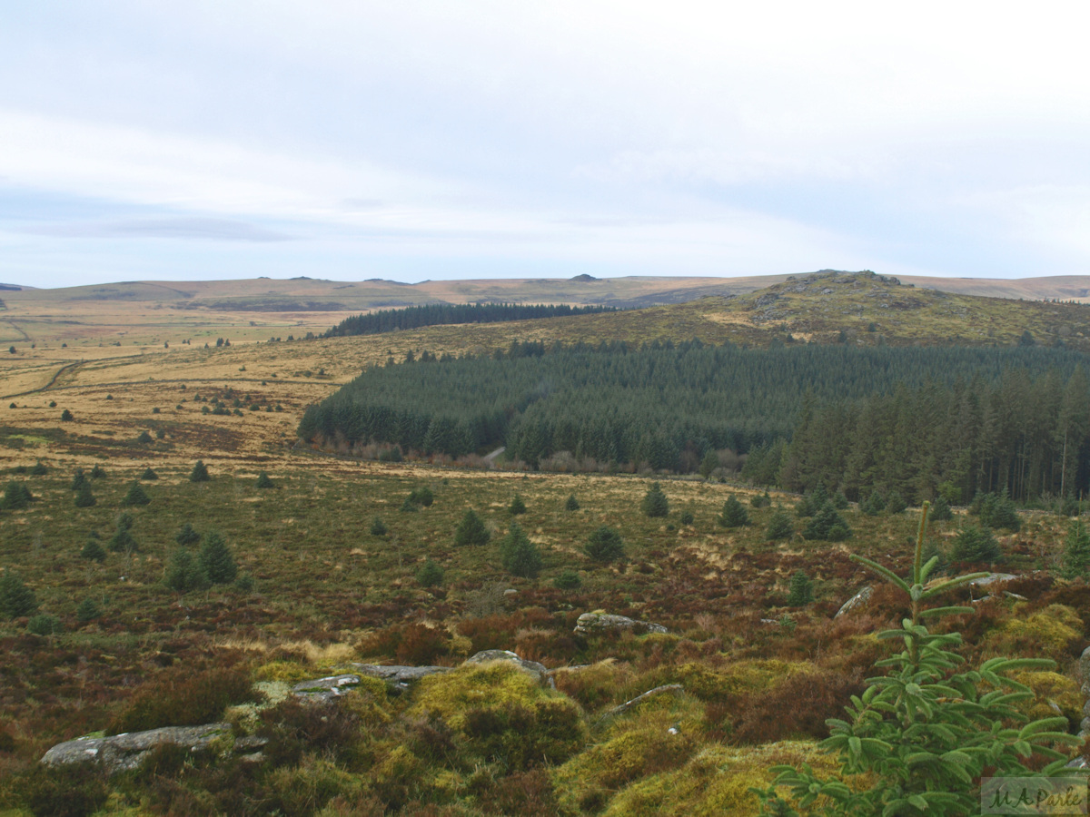 View north west to Bellever Tor from Laughter Tor