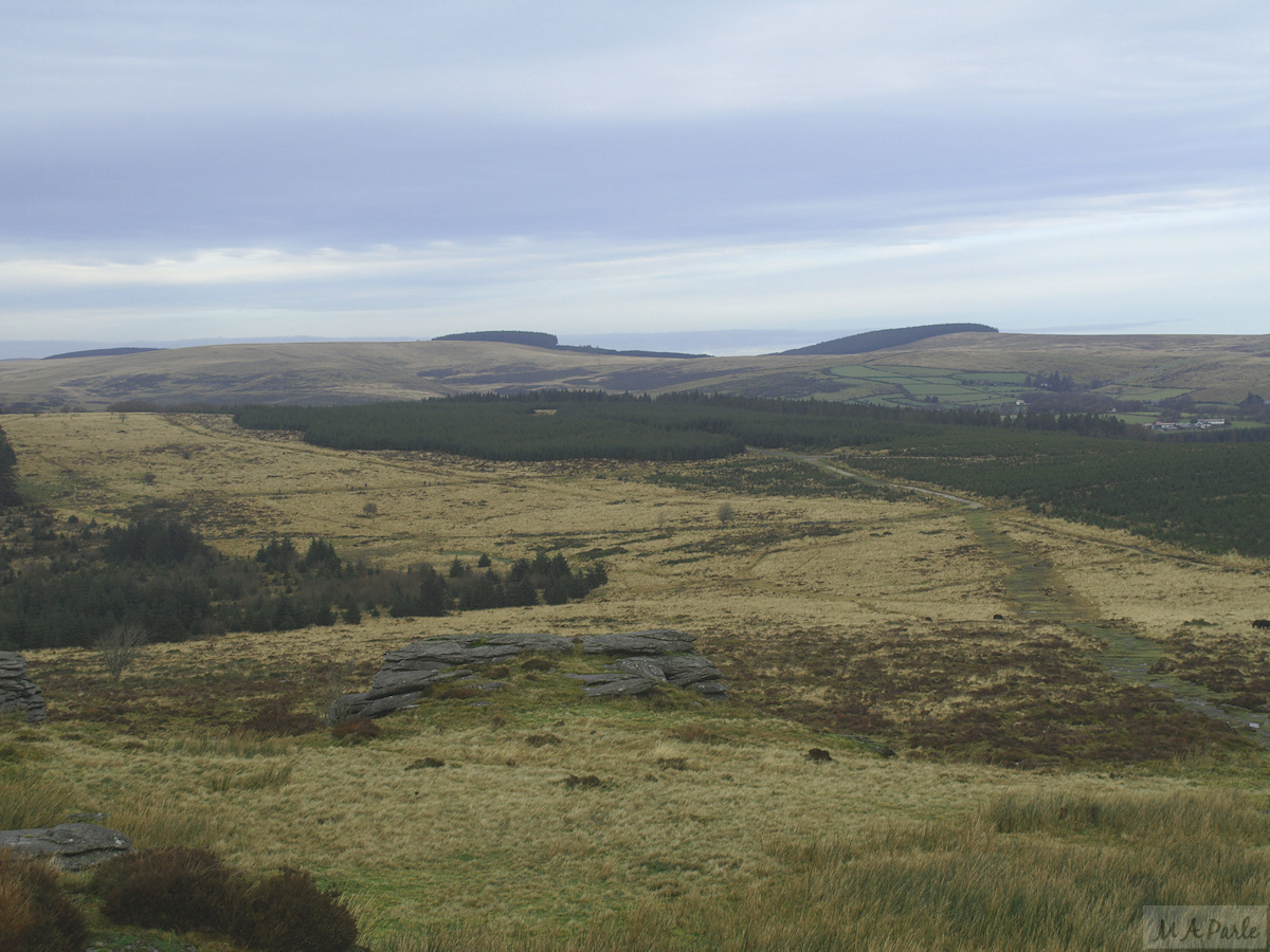 View north from Bellever Tor