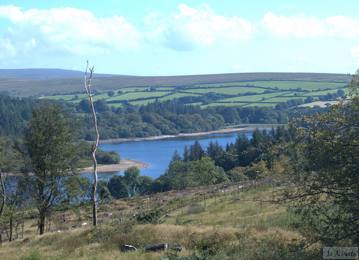 Burrator Reservoir from Peekhill Plantation