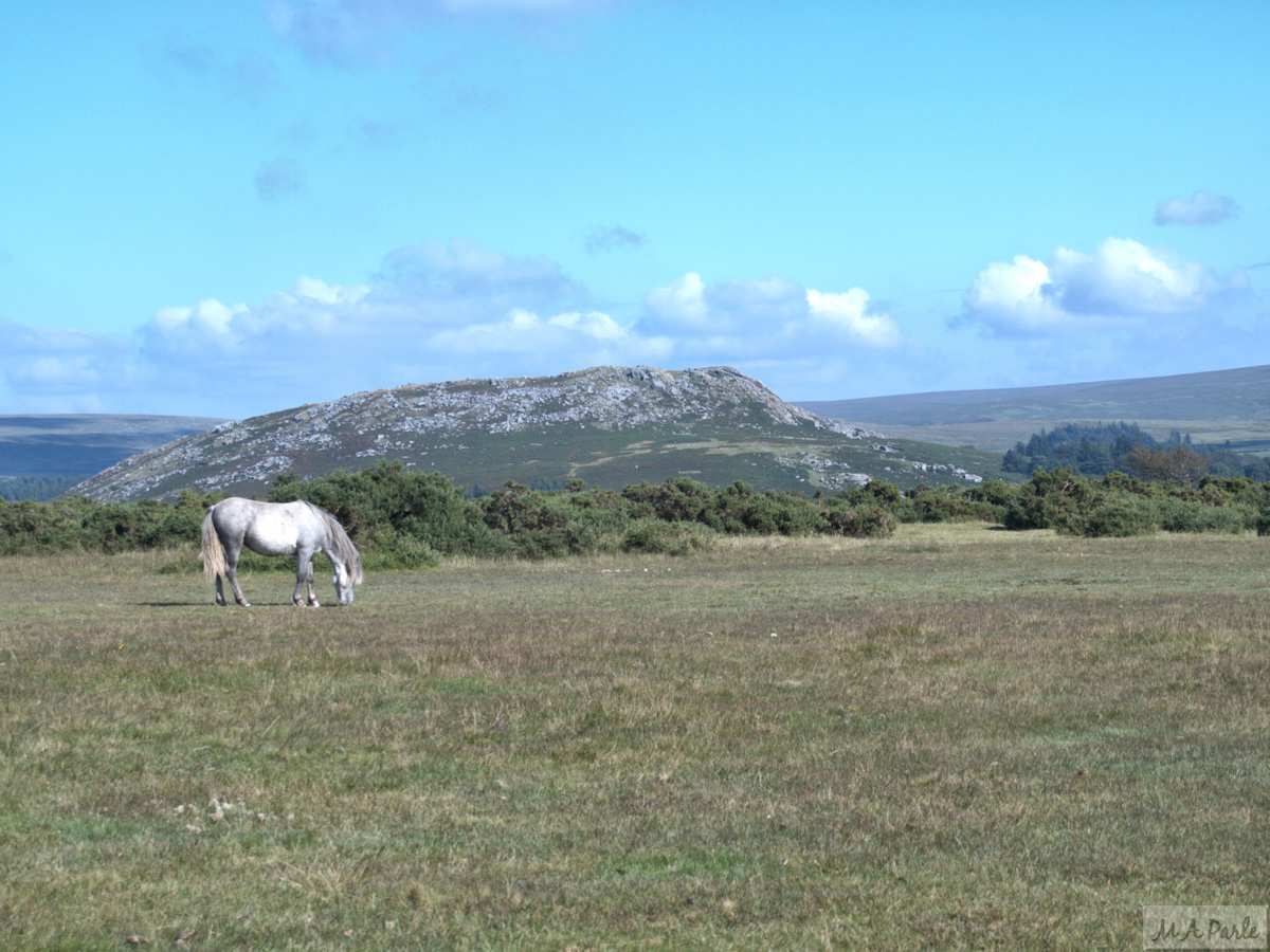 Sheepstor from Yennadon Down