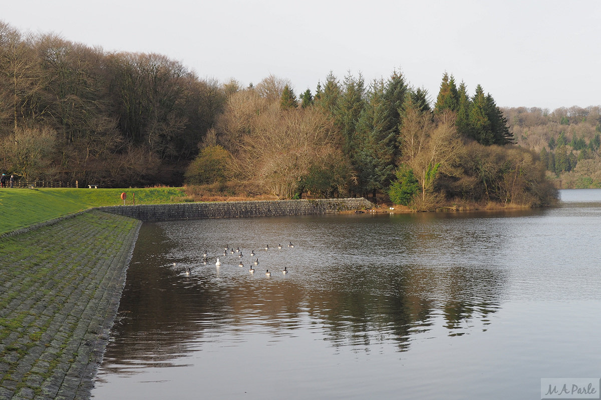 Sheepstor Dam