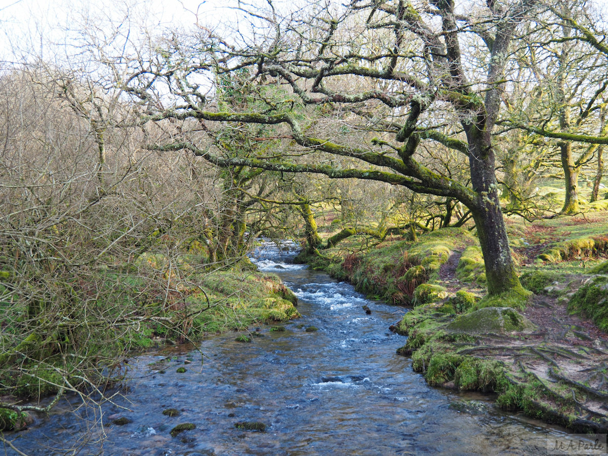 Newleycombe Brook