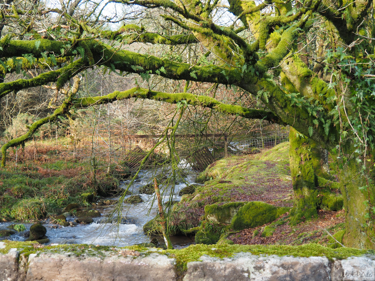 River Meavy at Norsworthy Bridge