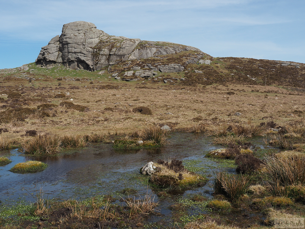 Haytor