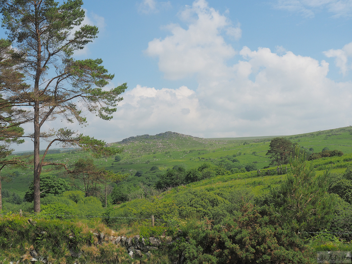 Combshead Tor