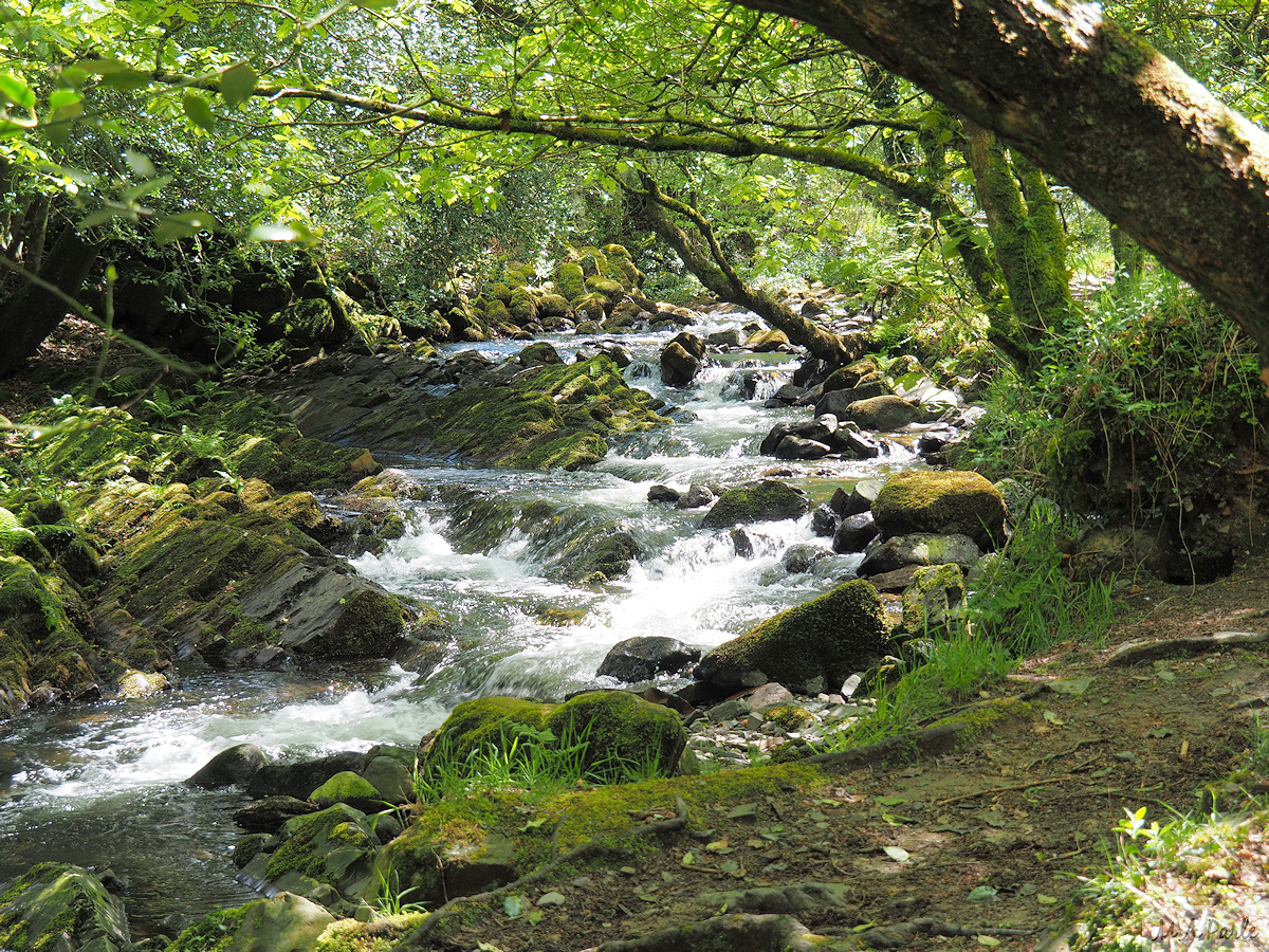 East Okement River