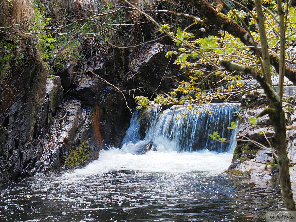 East Okement River, West Cleave