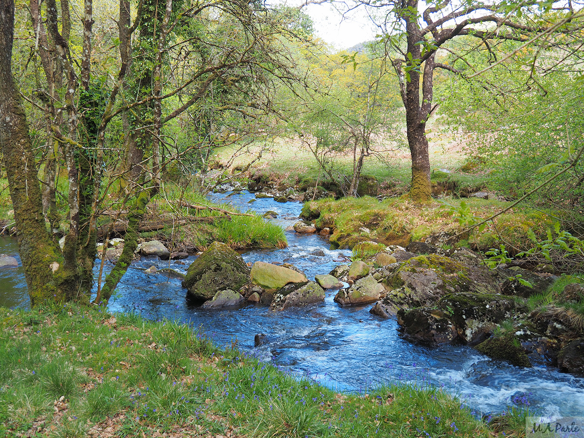 East Okement River, near footbridge