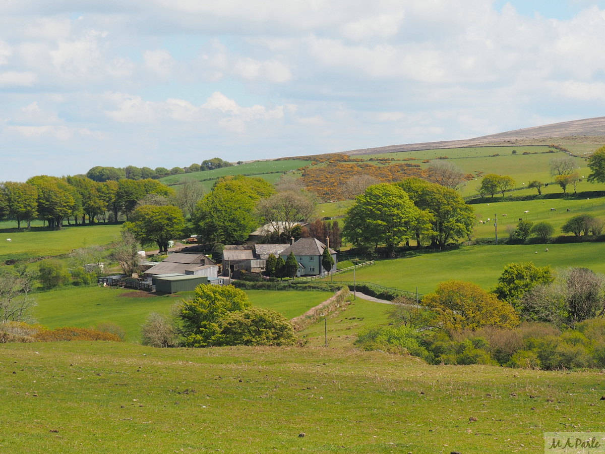 Lower Halstock Farm, Dartmoor