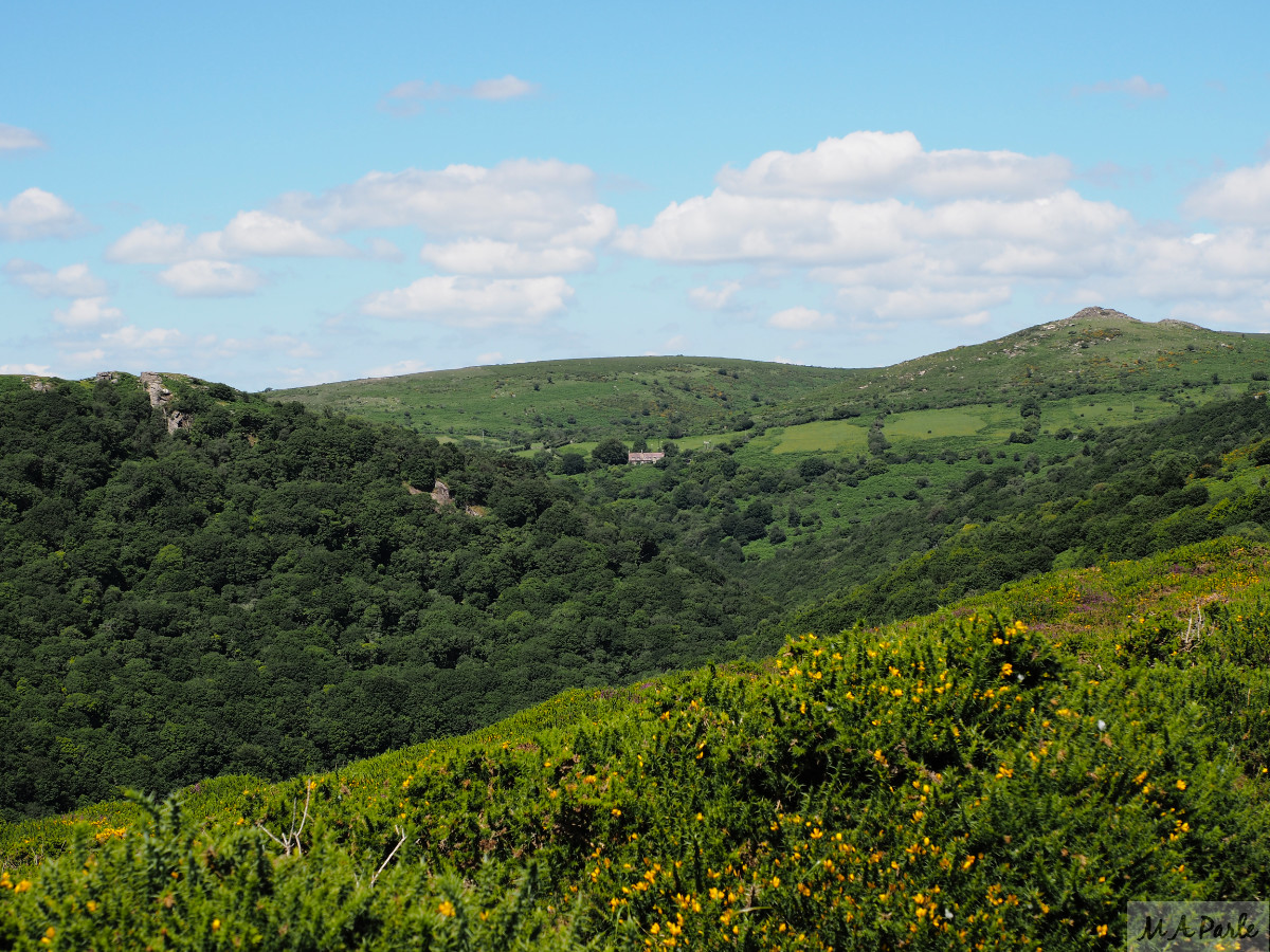 Dart Valley to the west of Dr Blackall's Drive