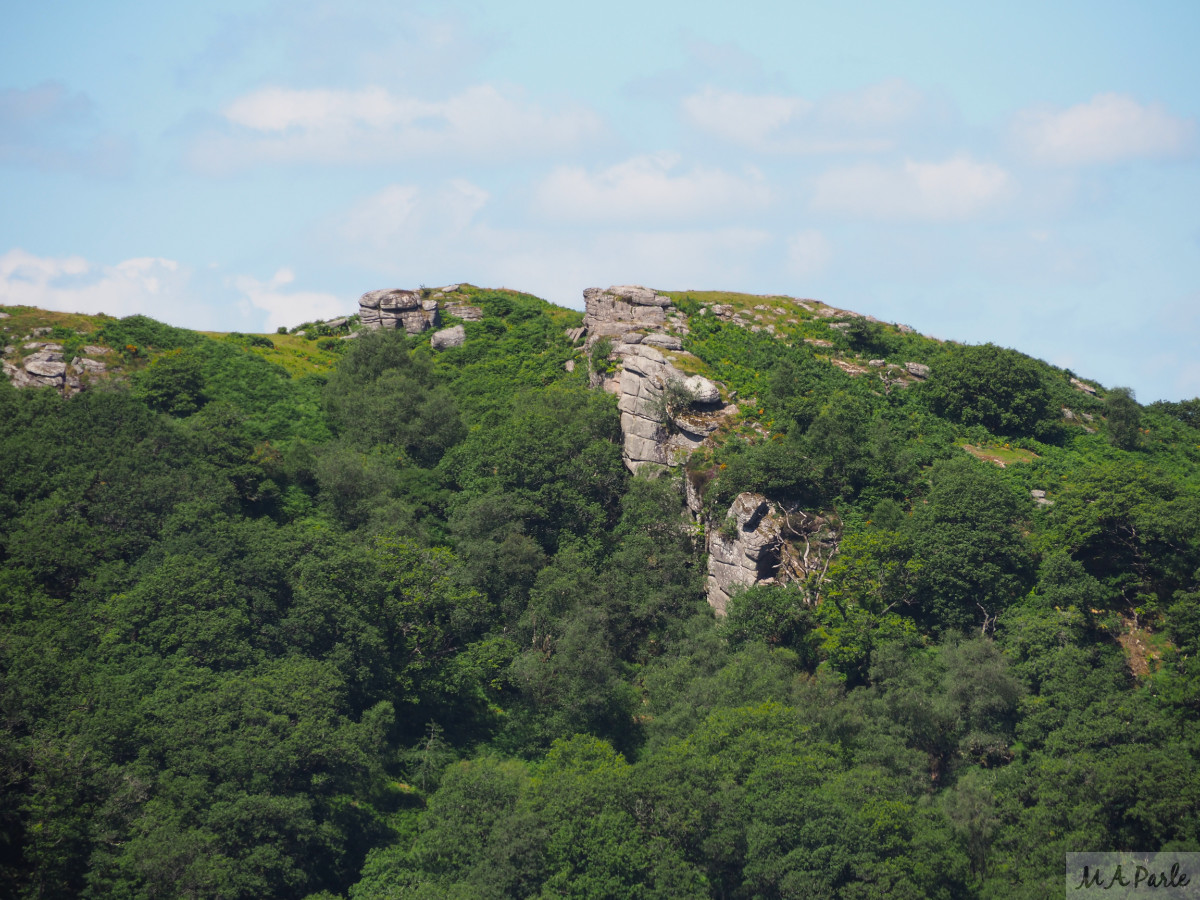 Bench Tor