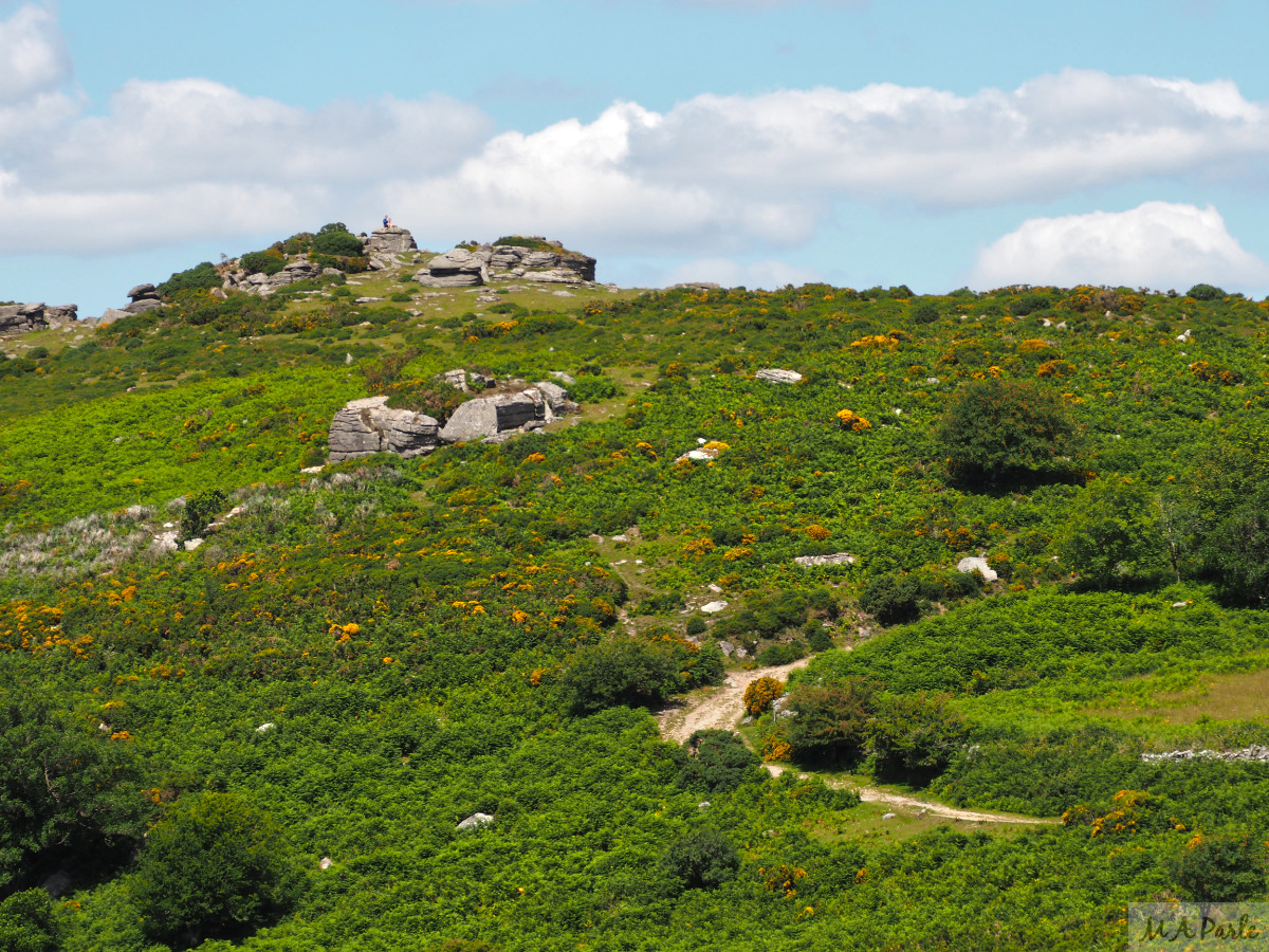 Mel Tor at the northern end of Dr Blackall's Drive