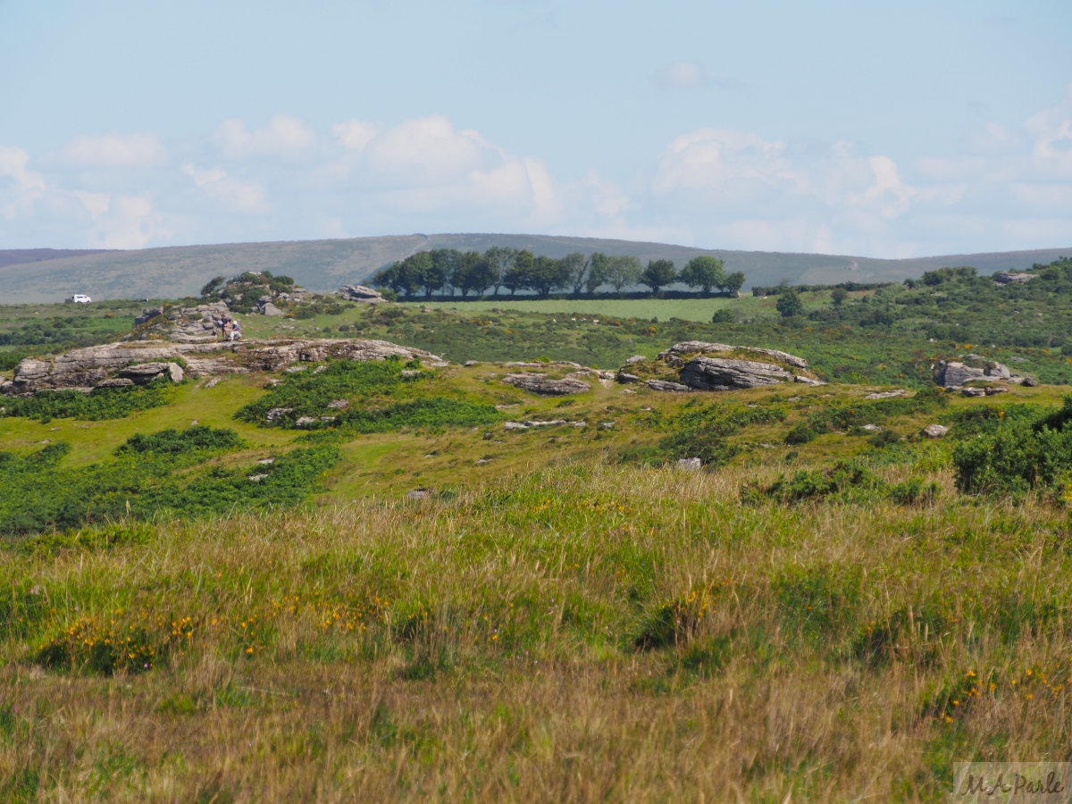 Bench Tor