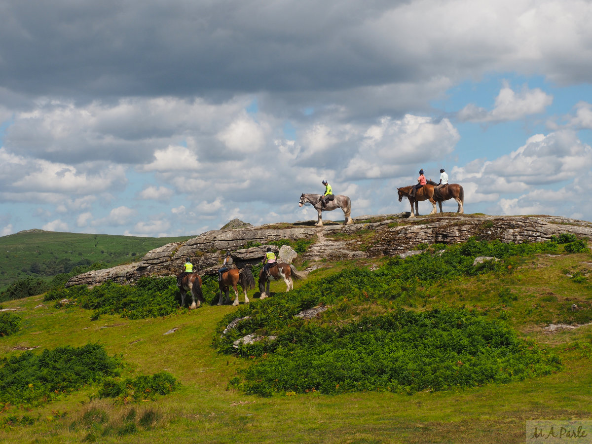 Riders take a break on Bench Tor